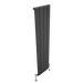 Carisa Slim Vertical Aluminium Radiator, clear background image