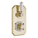 BC Designs Victrion Twin Thermostatic Concealed Shower Valve, 1 Outlet in polished gold finish