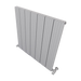 Carisa Chambord Horizontal Aluminium Radiator, clear background image
