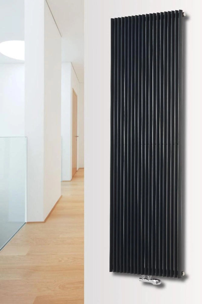 Eucotherm Corus Single Radiator anthracite in a living space