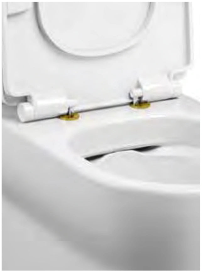 Tissino Nerola Rimless Closed Coupled Pan, Cistern WC - Right Hand Pan Cut close up brushed brass fixtures