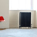 Arroll Prince 2 Column Cast Iron Radiator next to a white painted wall