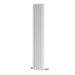 Carisa Gaia Aluminium Vertical Radiator, clear background image