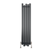 Carisa Motion vertical Aluminium Radiator, clear background image