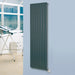Eucotherm Mars Electro Radiator anthracite in a living space