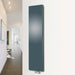 Eucotherm Mars Duo Plus Radiator anthracite, in a living space