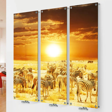 Eucotherm Mars Vitro Picture Triple Vertical Radiator, zebra image in a living space