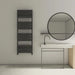 carisa mack bath ladder radiator in a bathroom space charcoal anthracite colour 