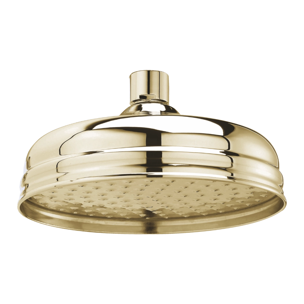 BC Designs Victrion 8 Inch Shower Head gold